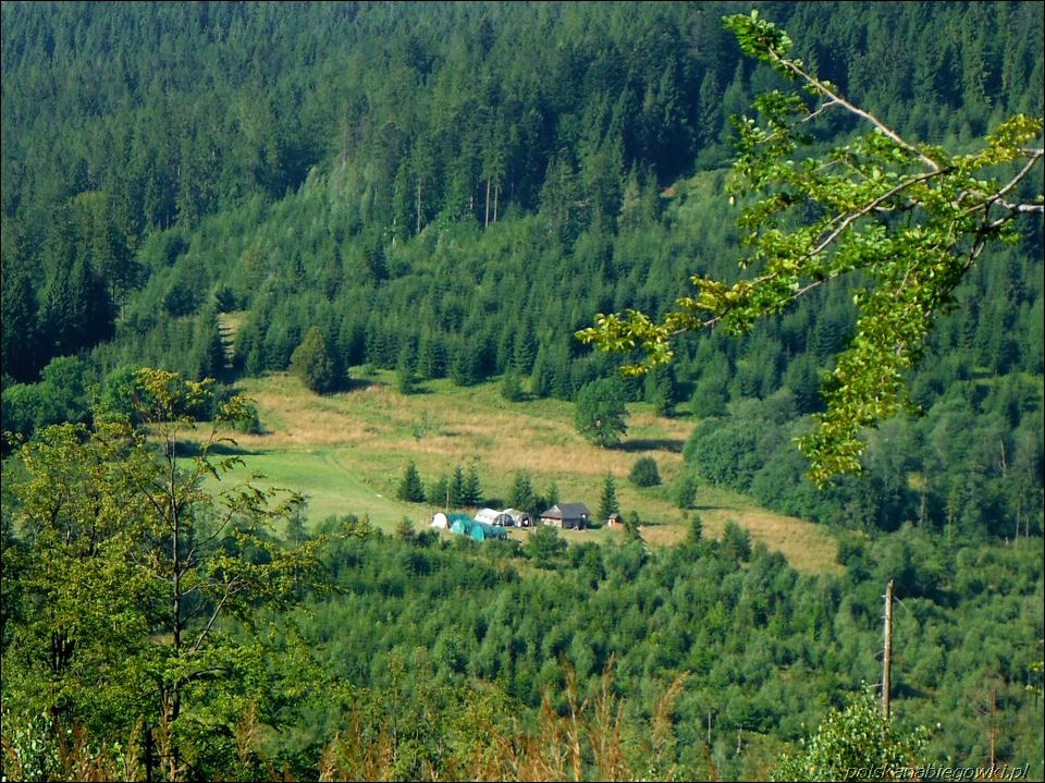 Next